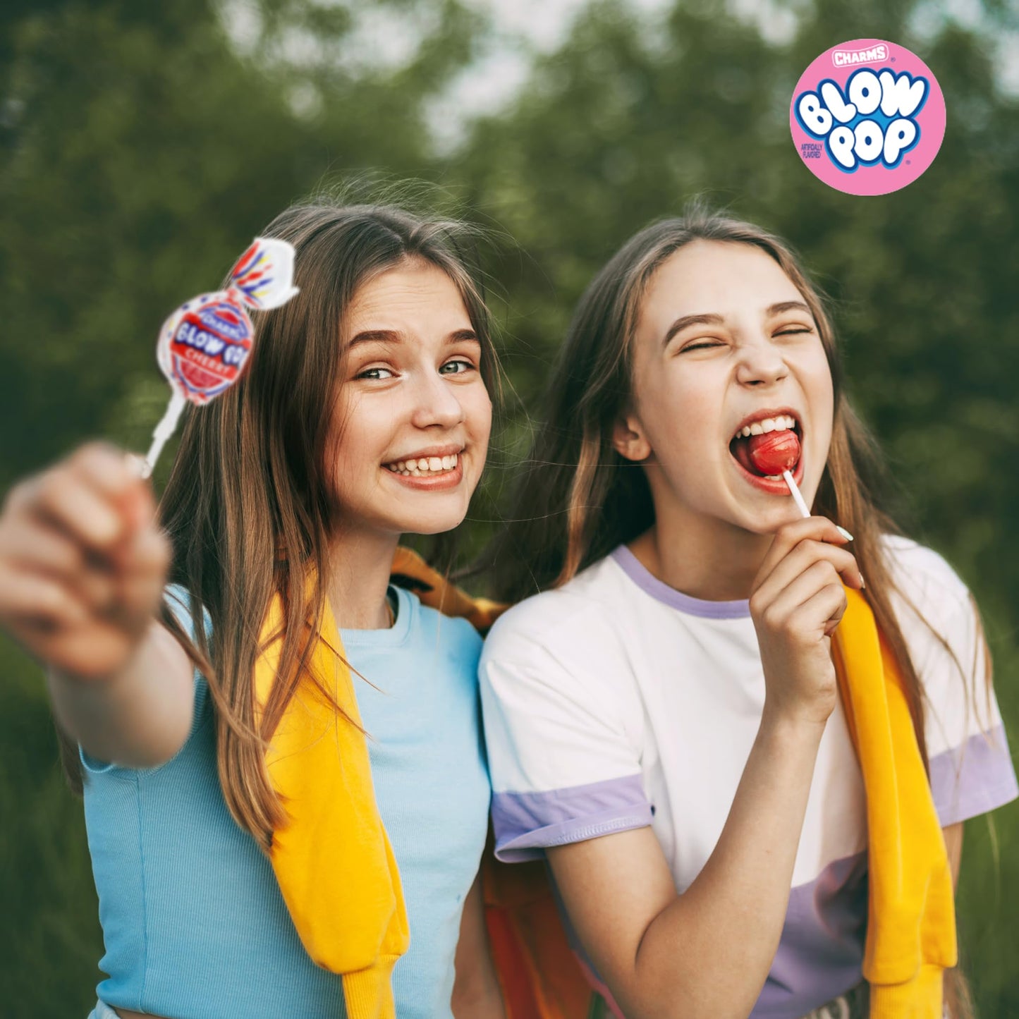 Charms Blow Pop Lollipops - Individually Wrapped Dual Candy and Gum Suckers - Peanut Free, Gluten Free - Bulk Treat for Kids and Adults - Assorted