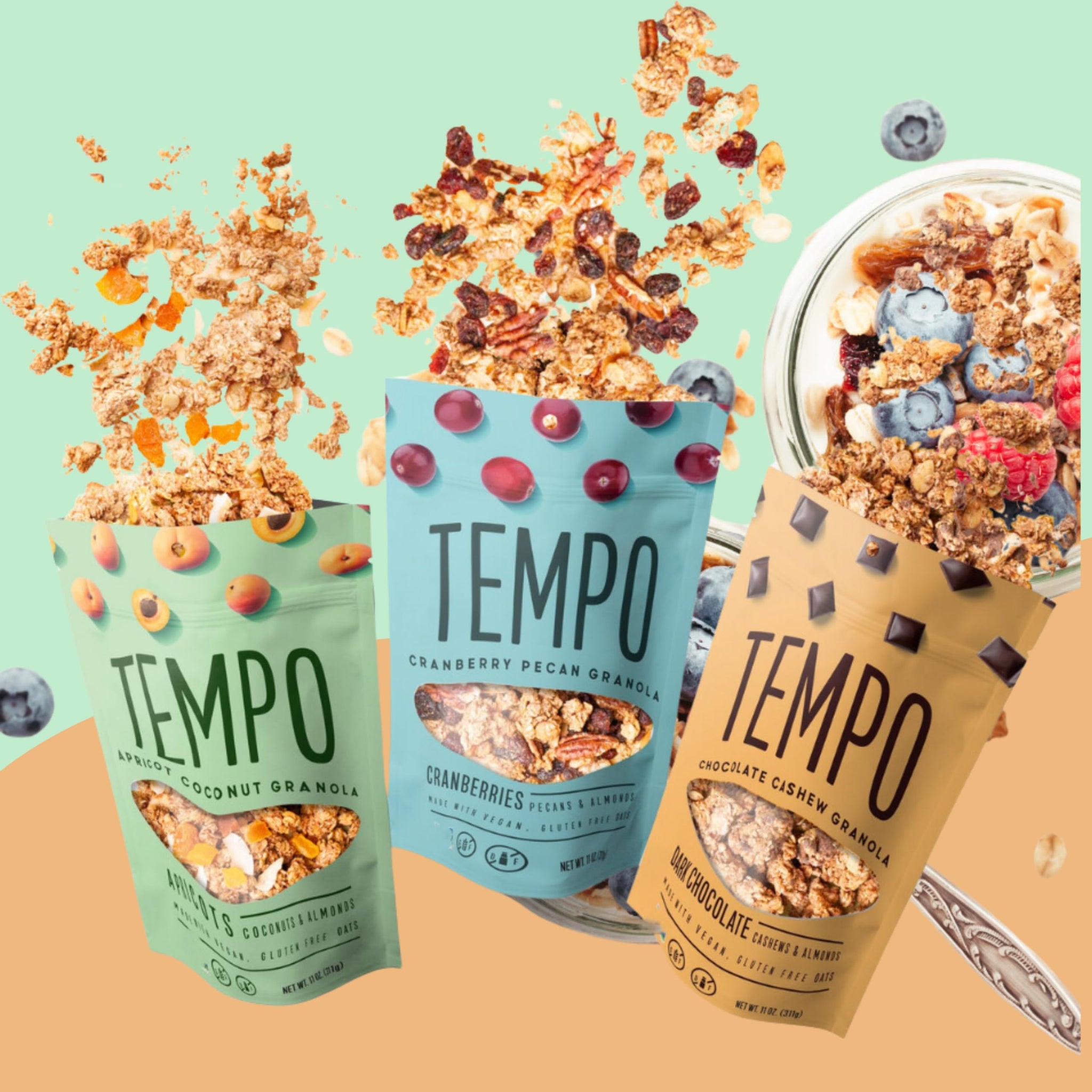 Tempo Granola Loose Granola Variety Pack - 3 Pack of 11 oz Bags