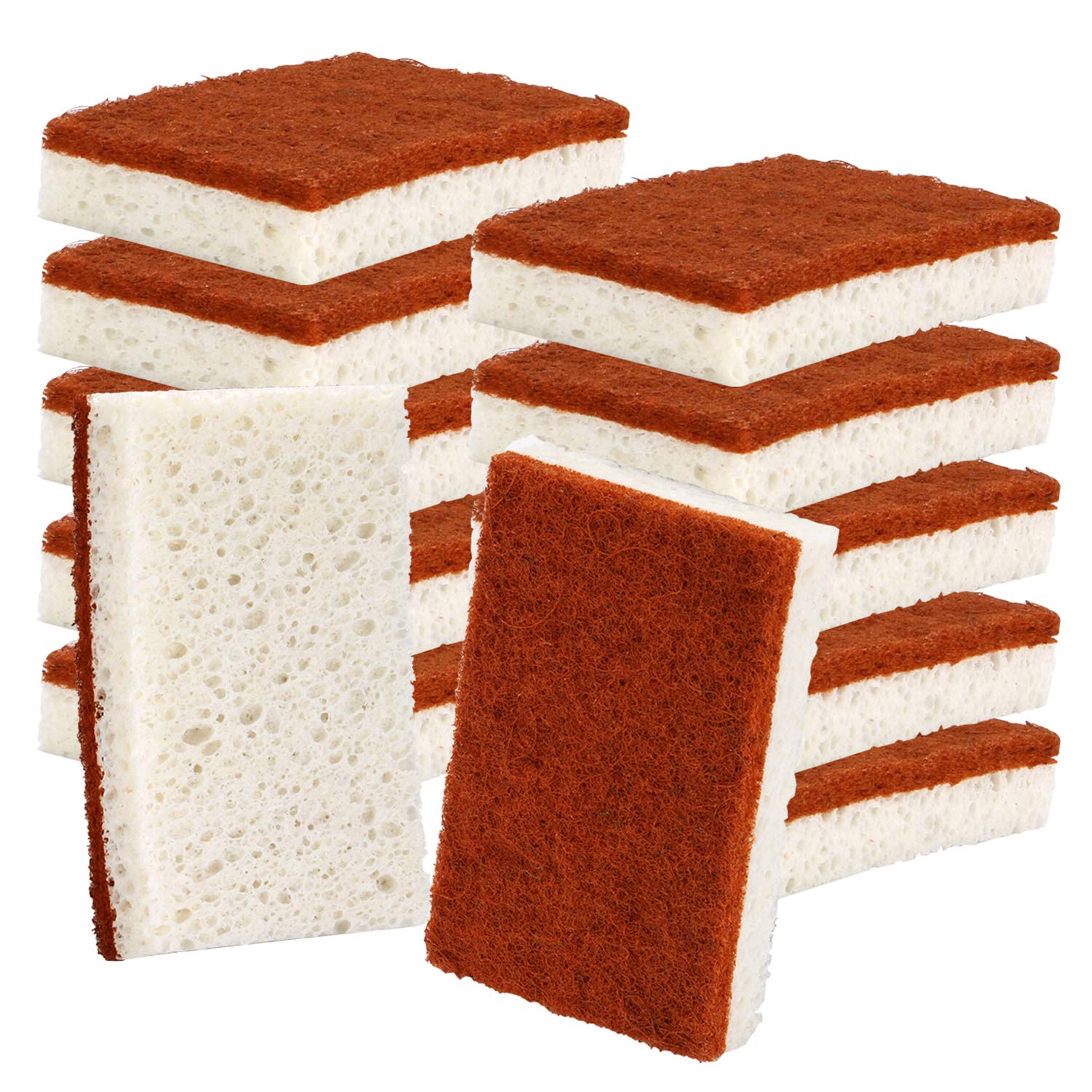 Natural Plant Based Scrub Sponge 12 Pack, Palm Fiber Scrubbing Sponge with Non Scratch Biodegradable Compostable Sponges,Long Lasting No Smell