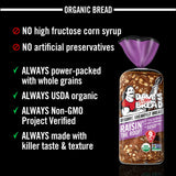 Dave's Killer Bread Raisin' the Roof!, Cinnamon Raisin Organic Breakfast Bread, 18 oz Loaf