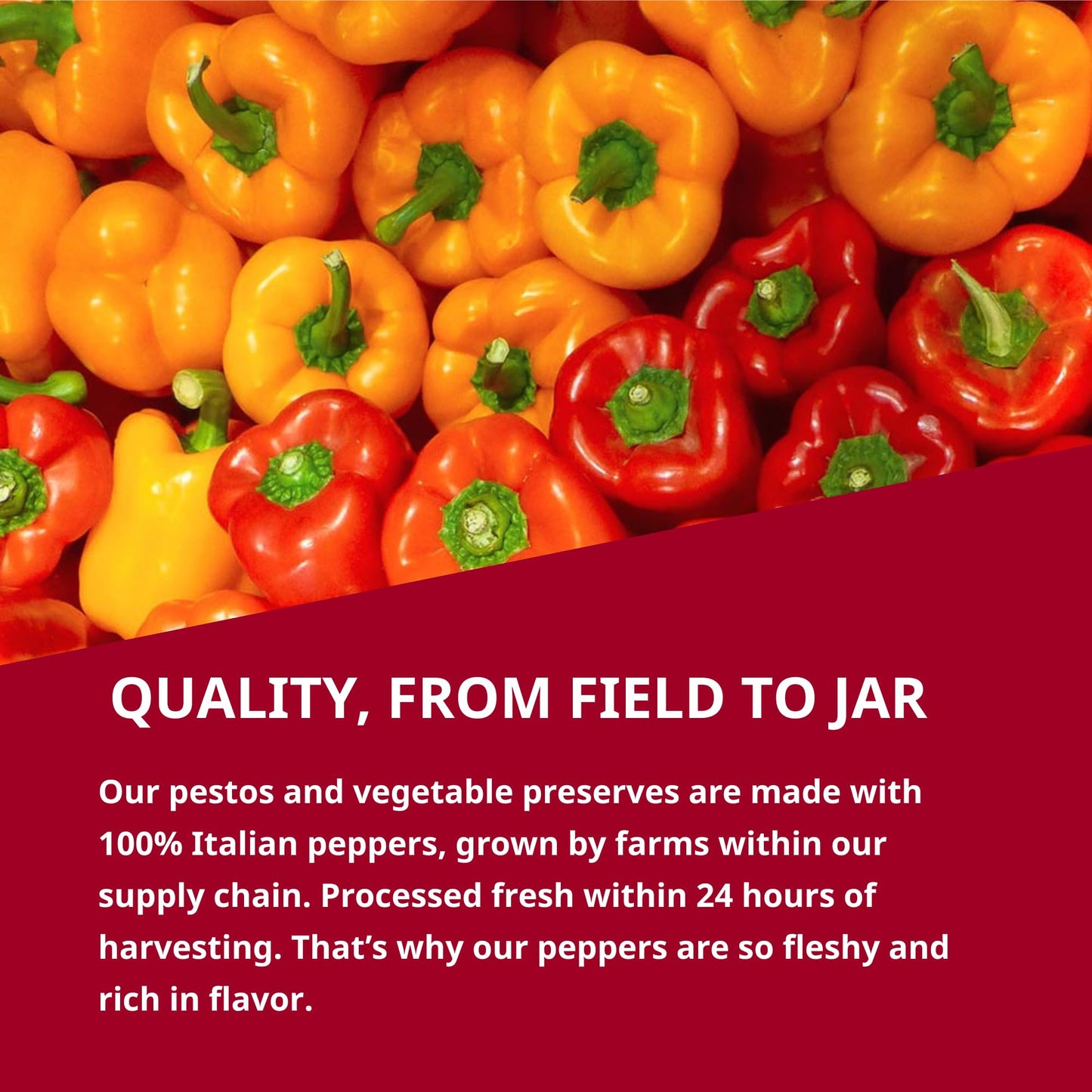 Polli Plant Based Ragù with Peppers & Eggplant - Italian Vegetable Pasta Sauce, Gluten Free, Mediterranean Tomato Sauce, Made in Italy, 2 x 3.2 oz
