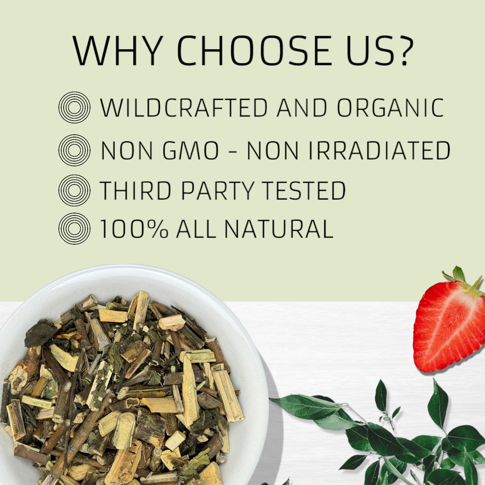 Evergreen Herbs Muicle Tea Bags (Justicia spicigera) - 20 Bags, Wildcrafted Mexican Honeysuckle Herbs for Tea, Decoctions or Tinctures, Traditional