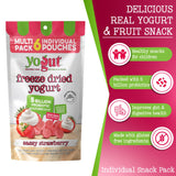 YoGut Freeze Dried Yogurt Snack Pack, Healthy, On-the-Go Smoothie Melts Snacks for Kids & Adults, Gluten Free, Non GMO with 5 Billion Live Probiotics