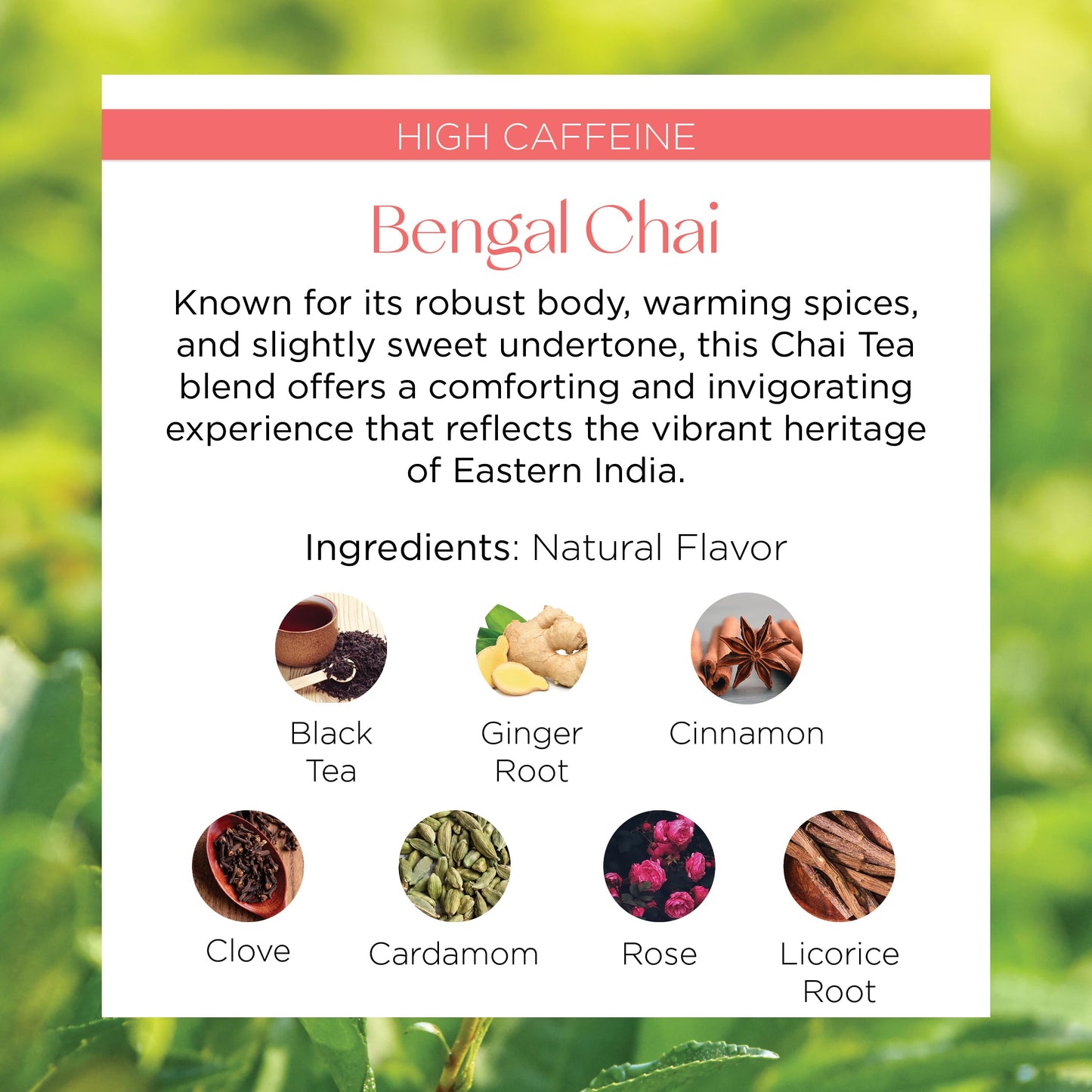 Brook37 Bengal Chai - Premium Black Chai Tea Blend | High Caffeine | Natural flavor and ingredients | Black tea, Ginger root, Cinnamon, Clove