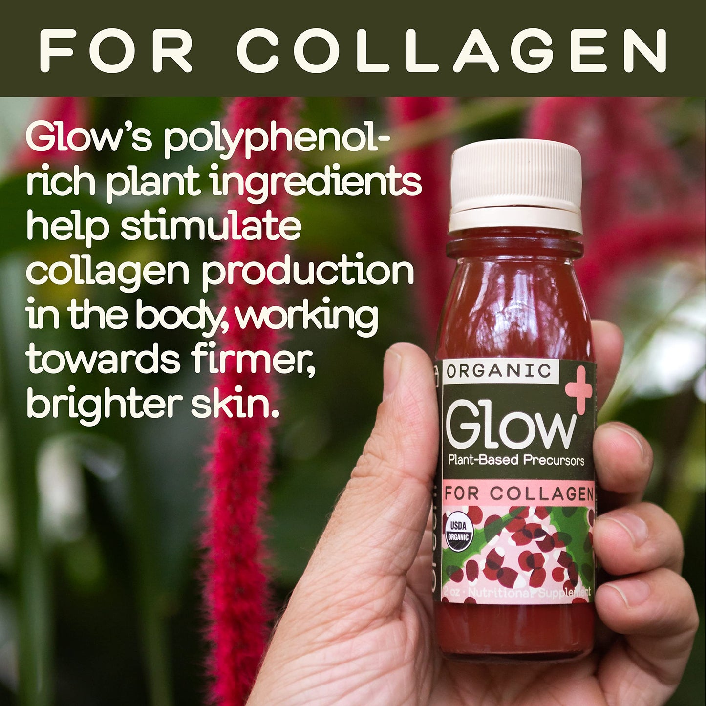 Greenhouse Juice Organic Glow Wellness Shots 12-Count 60ml Glass Bottles, Sweet + Tart Pomegranate + Apple Flavor, Vegan & Gluten-Free