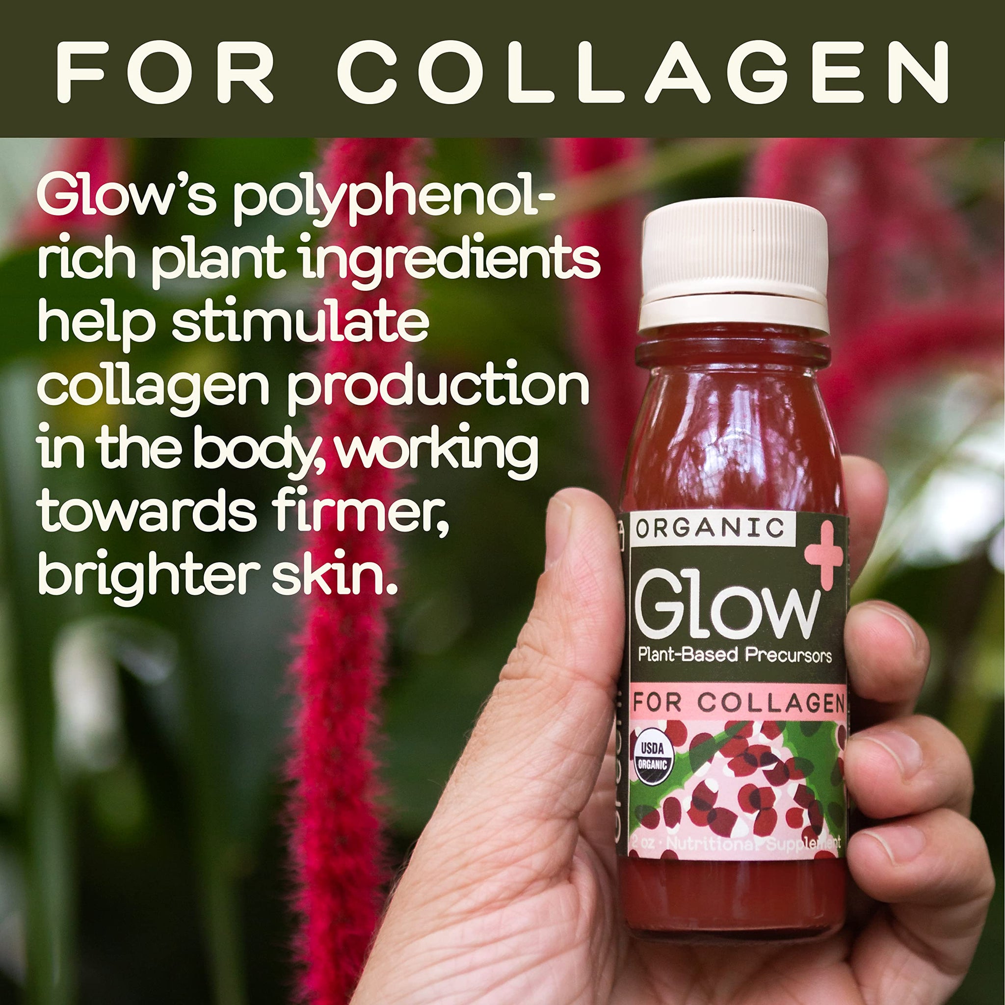 Greenhouse Juice Organic Glow Wellness Shots 12-Count 60ml Glass Bottles, Sweet + Tart Pomegranate + Apple Flavor, Vegan & Gluten-Free