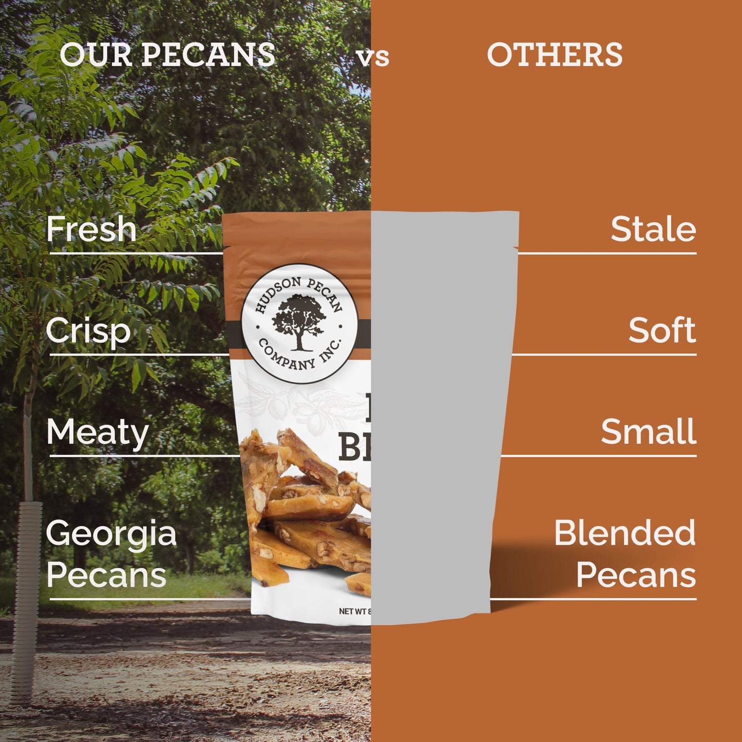 HUDSON PECAN COMPANY: Homemade Pecan Brittle | Crunchy, Handcrafted Southern Candy Made with Fresh Georgia Pecans, Perfect for Snacking, Sharing, or