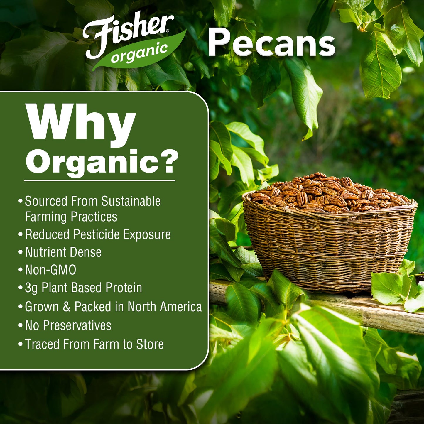 Fisher Organic Pecans Halves 16 oz, USDA Certified Organic, Unsalted Raw Pecans, North American Grown, Non-GMO, No Preservatives, Keto & Paleo