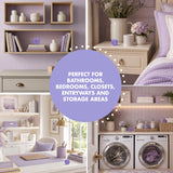 Arm & Hammer OdorBusterz ShapeMATE™, Lavender Flower, 4 Count - Decorative Odor Eliminator for Small Spaces
