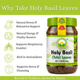 Basic Ayurveda Holy Basil (Tulsi) Leaves | 1.06 Oz (30g) | Pure Dried Tulsi Leaves | Natural Ayurvedic Herb for Herbal Tea, Detox & Daily Wellness |
