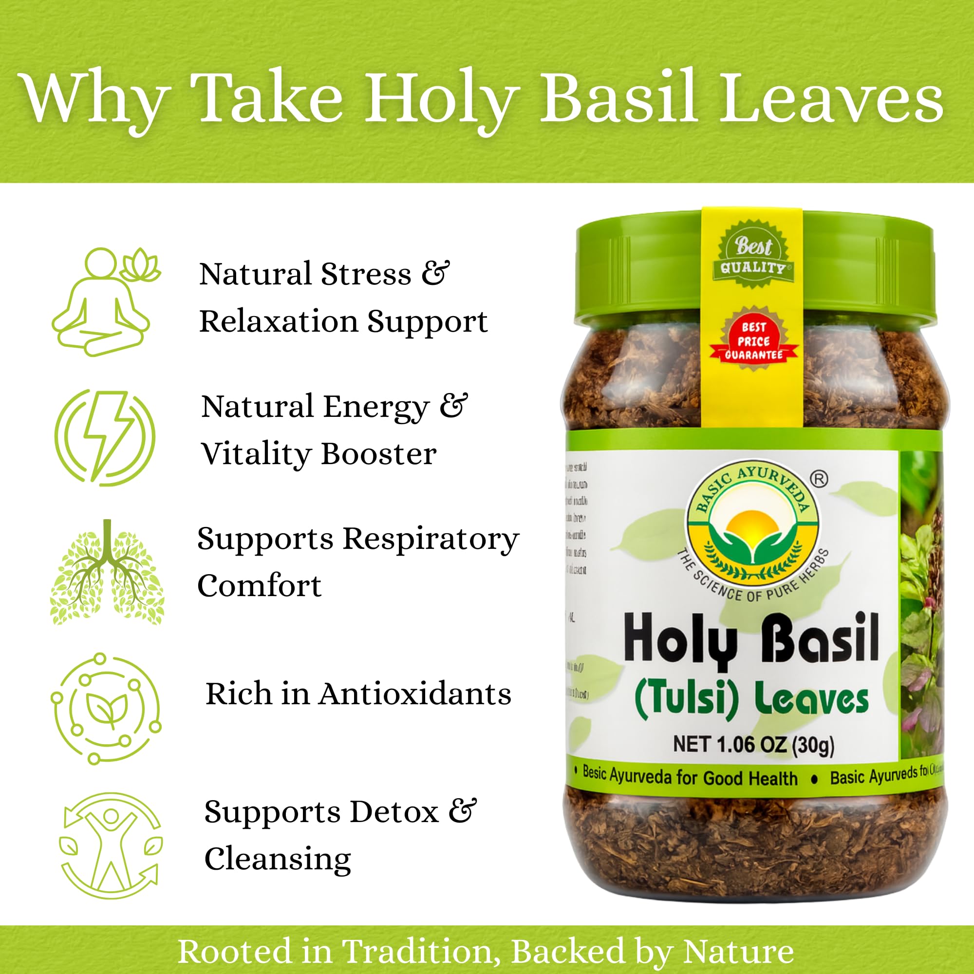 Basic Ayurveda Holy Basil (Tulsi) Leaves | 1.06 Oz (30g) | Pure Dried Tulsi Leaves | Natural Ayurvedic Herb for Herbal Tea, Detox & Daily Wellness |