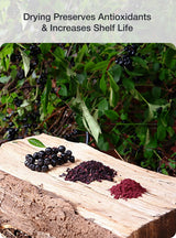 Green Valley Superfoods Organic Aronia Berry Juice Powder, Chokeberry, Antioxidant Rich Anthocyanins (12 Ounce)