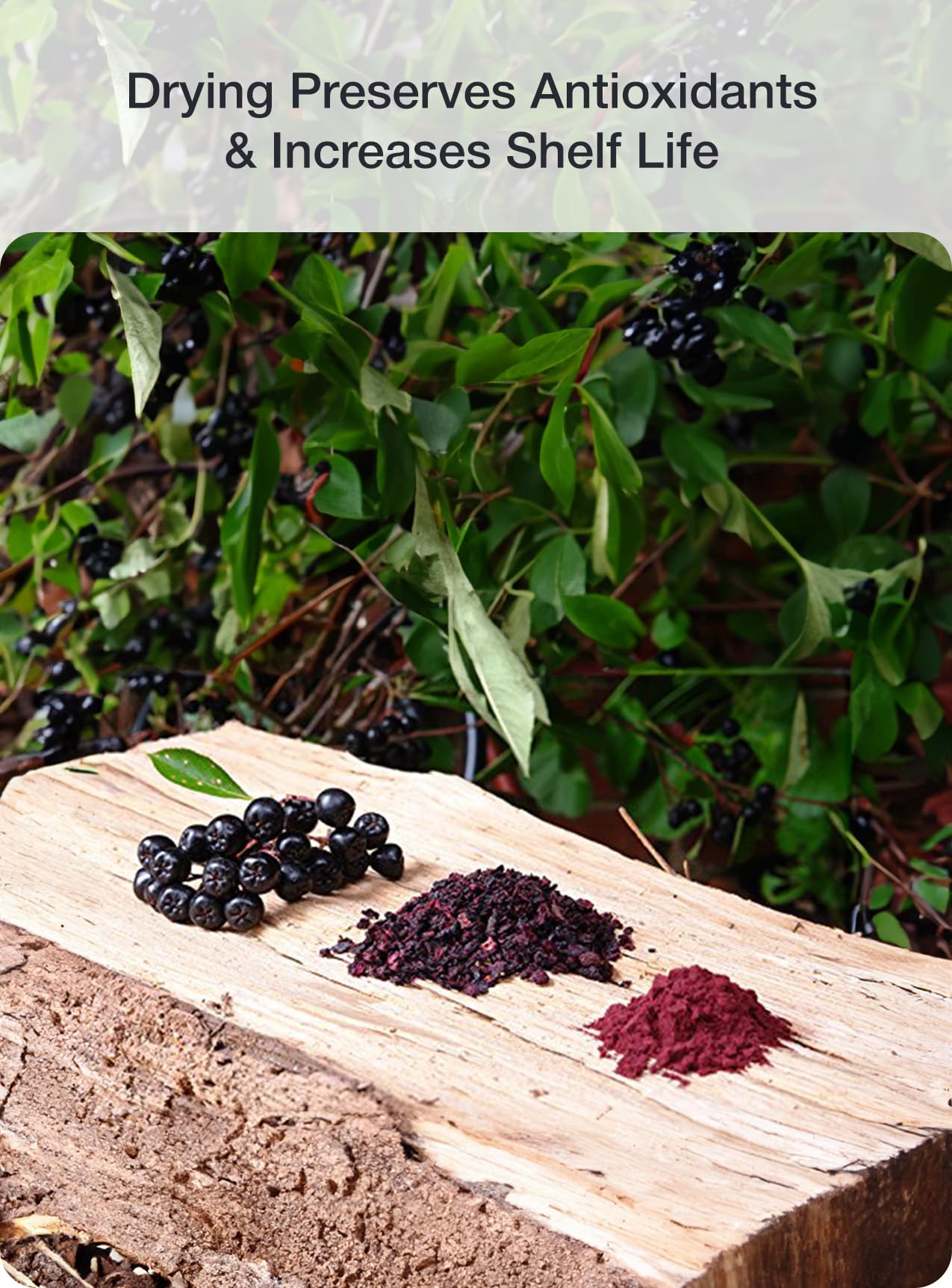 Green Valley Superfoods Organic Aronia Berry Juice Powder, Chokeberry, Antioxidant Rich Anthocyanins (12 Ounce)