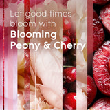 Glade Automatic Spray Refill, Air Freshener for Home and Bathroom, Blooming Peony & Cherry, 6.2 Oz
