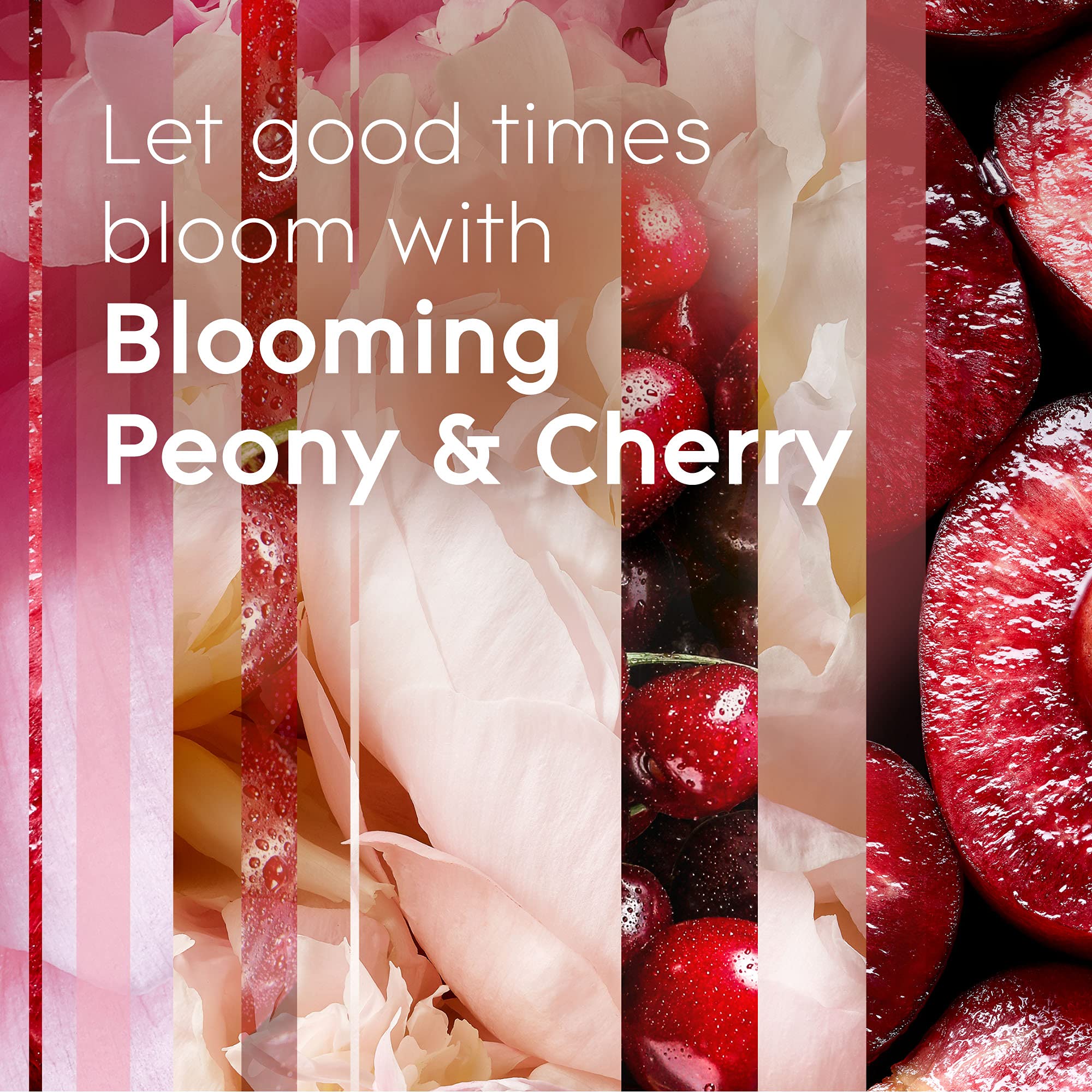 Glade Automatic Spray Refill, Air Freshener for Home and Bathroom, Blooming Peony & Cherry, 6.2 Oz