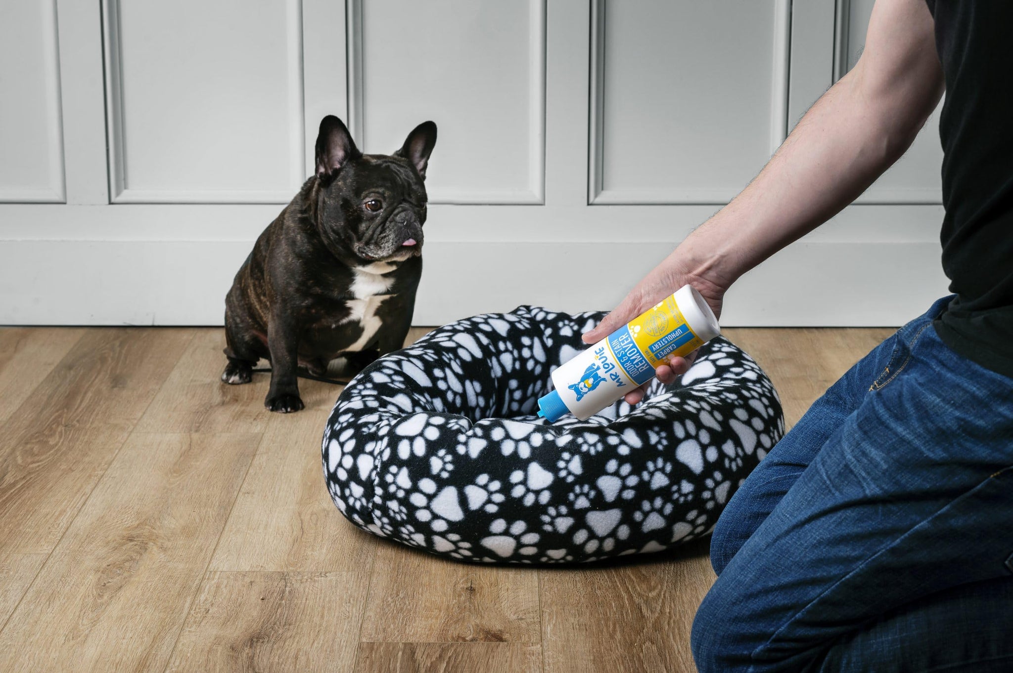 MR LOUIE Stain & Odor Remover for Carpet & Upholstery - Precision Pour No-Spray Cleaner Tough on Dog & Cat Urine, Vomit & Kid Stains with No Chemical
