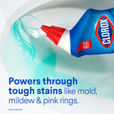 Clorox Toilet Bowl Cleaner Bleach, Rain Clean, 24 Fluid Ounces, Pack of 2 (Package May Vary)