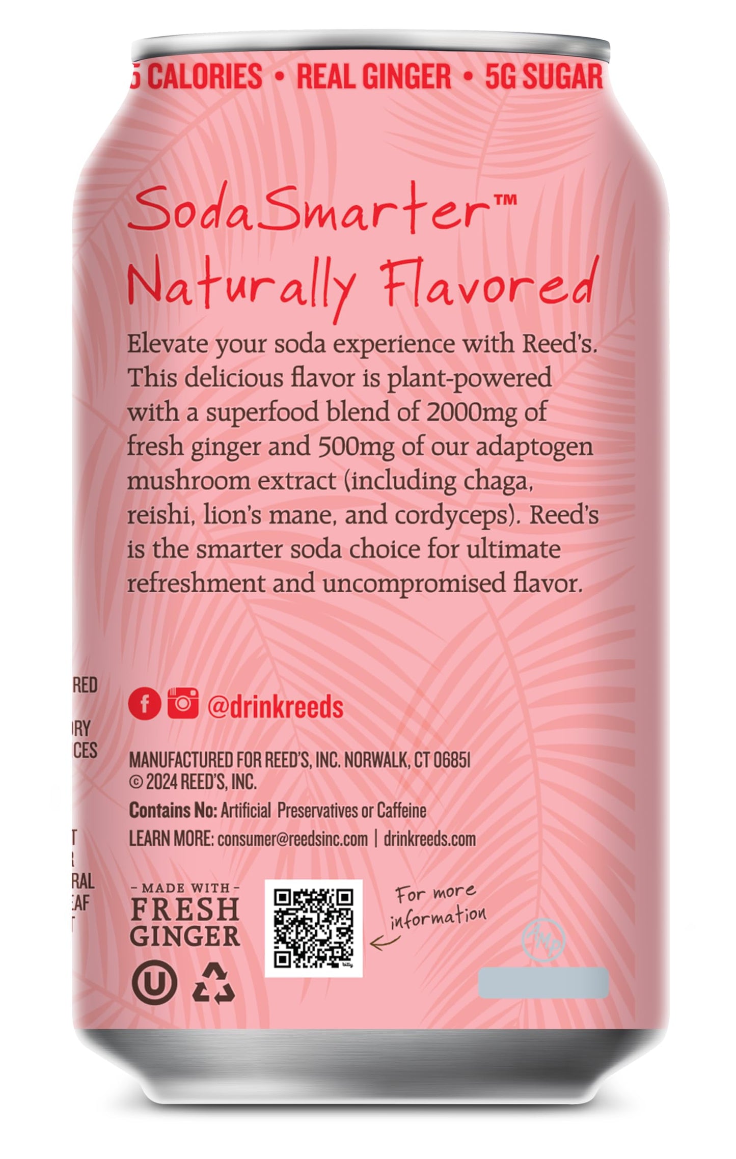Reed's Strawberry Vanilla Functional Soda - Organic Ginger, Adaptogen Mushroom Blend, Prebiotics - 12oz Cans, 12-Pack