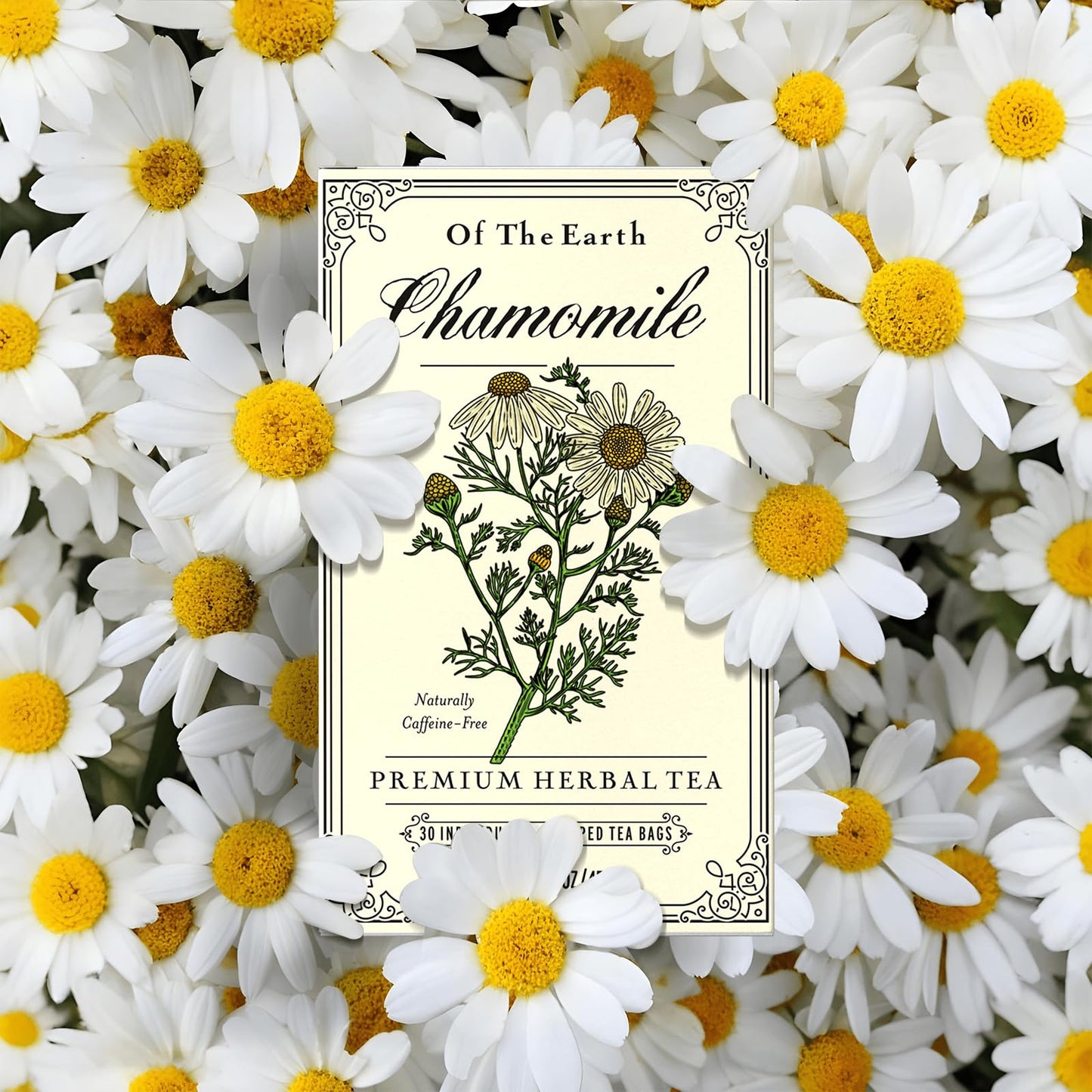 Life Plus Style Gourmet Of the Earth Chamomile Tea (Individually Wrapped, Caffeine-Free) 30-Count