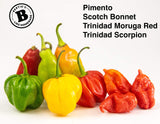 Bertie's Trinidad Scorpion Pepper Sauce - 500ml