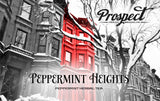 Prospect Tea Co. Peppermint Heights Herbal Tea Pods Compatible with K Cup Brewers Including 2.0, 40 Count