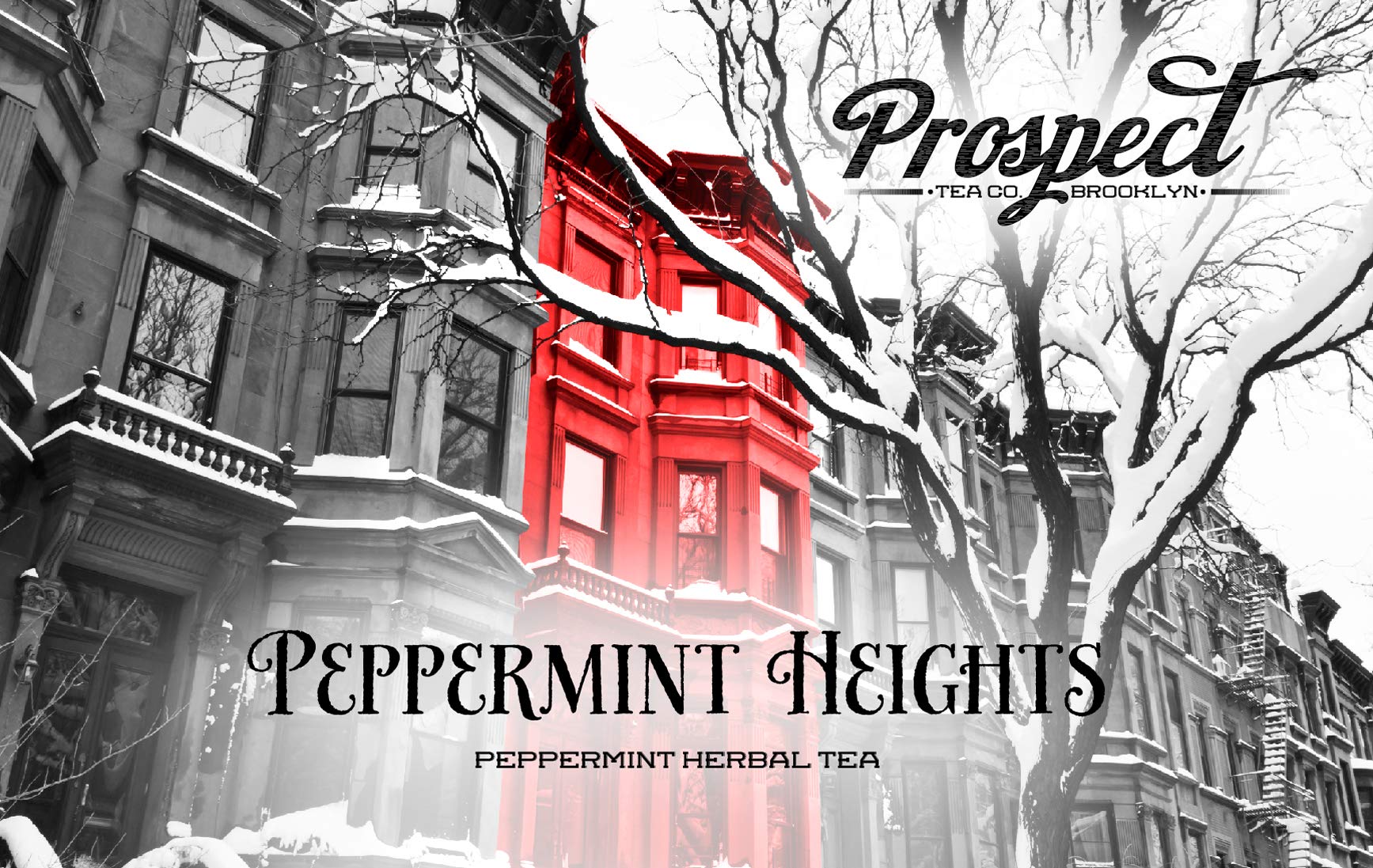 Prospect Tea Co. Peppermint Heights Herbal Tea Pods Compatible with K Cup Brewers Including 2.0, 40 Count