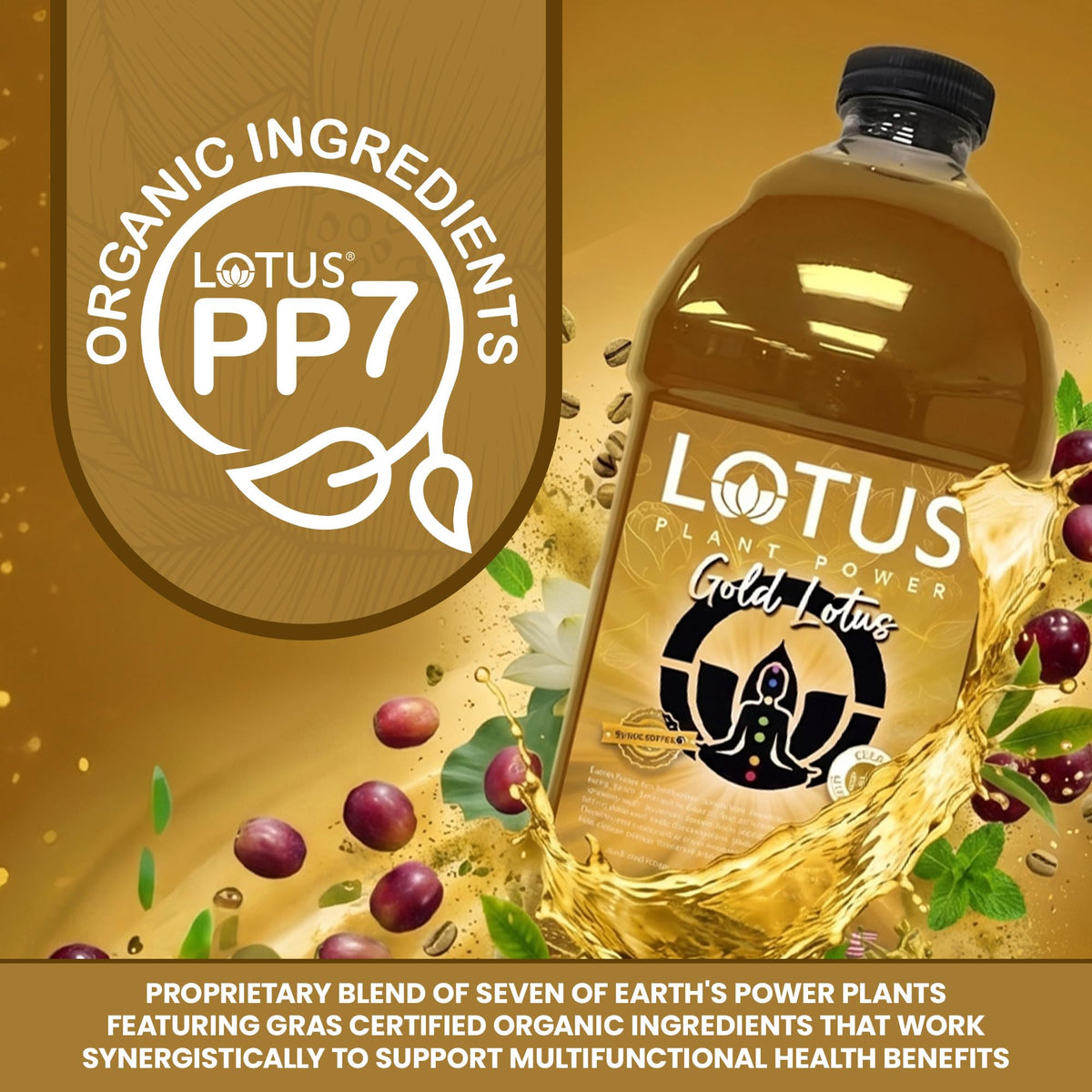 Gold Lotus Plant Power® Energy Drink Concentrate, PP7™ Formula