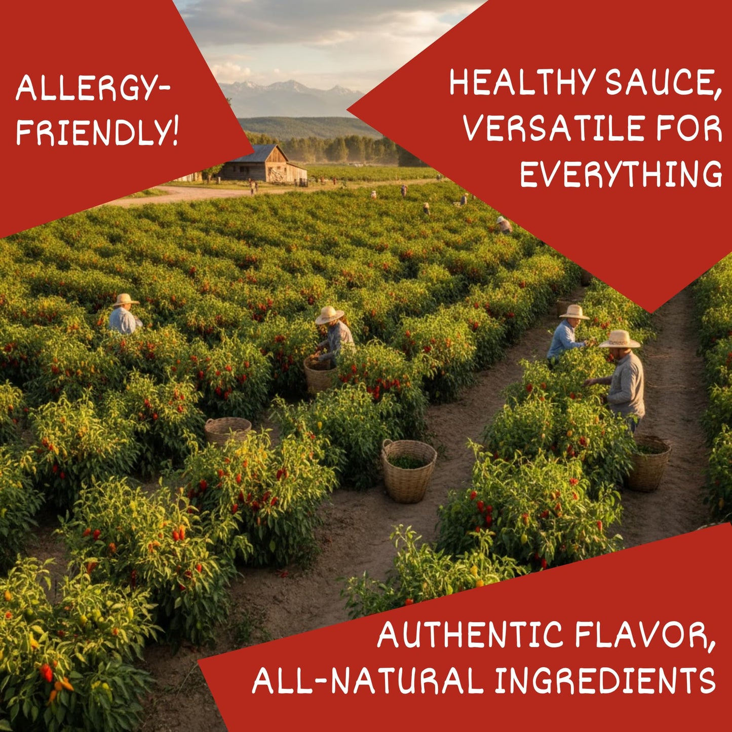 24Vegan All Natural Sriracha Hot Sauce - Clean Label, Chili Garlic Flavor, Non-GMO, No Preservatives, Certified Vegan Hot Sauce | 15.2 fl oz