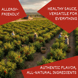 24Vegan All Natural Sriracha Hot Sauce - Clean Label, Chili Garlic Flavor, Non-GMO, No Preservatives, Certified Vegan Hot Sauce | 15.2 fl oz