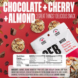 The GFB Variety Pack Protein Bites - Gluten Free, Plant Based, Non GMO, Sustainably Made - Ridiculously Tasty, Healthy, Vegan, Protein Energy Balls, 4