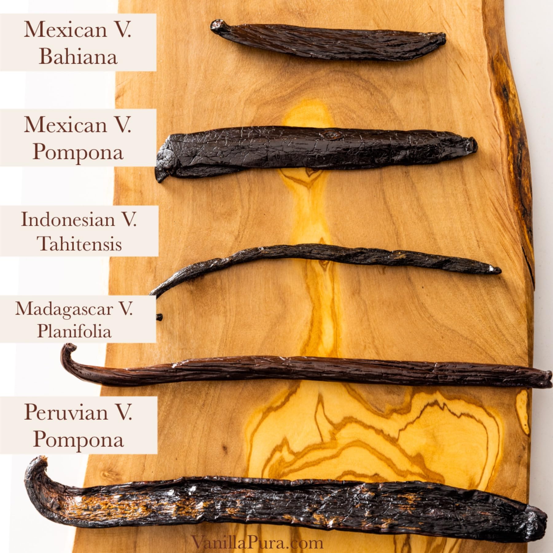 Peruvian V, Pompona Vanilla Beans - Gourmet Grade A - Vacuum Packaged - For At-Home Vanilla Extract Making, Brewing & For Use in Baking (4)