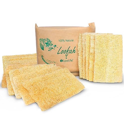Natural Loofah Kitchen Sponge (XL - 10 Pack) - Natural Sponges for Dishes - Eco Friendly and Compostable Sponges - Biodegradable Plant Based Kitchen