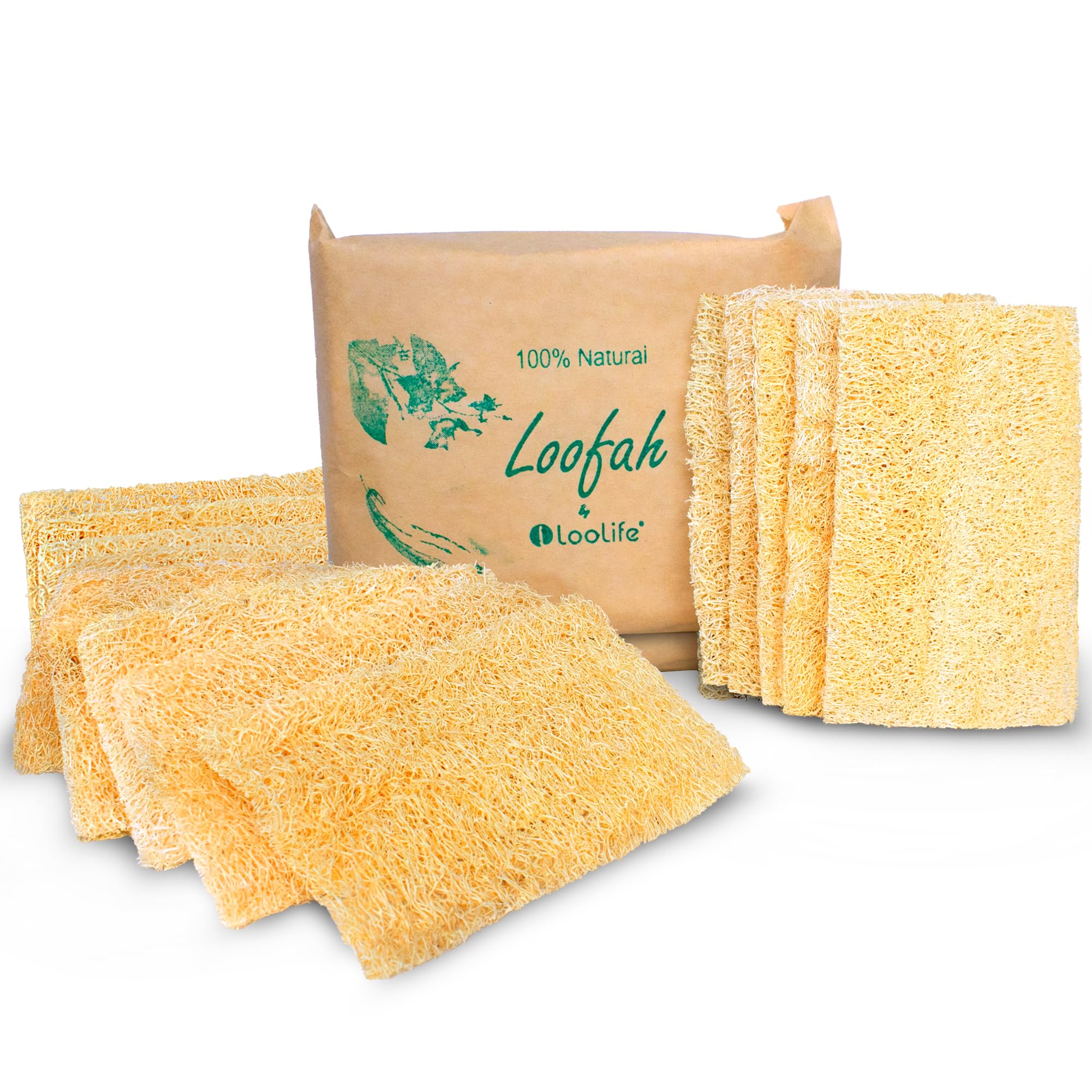 Natural Loofah Kitchen Sponge (XL - 10 Pack) - Natural Sponges for Dishes - Eco Friendly and Compostable Sponges - Biodegradable Plant Based Kitchen