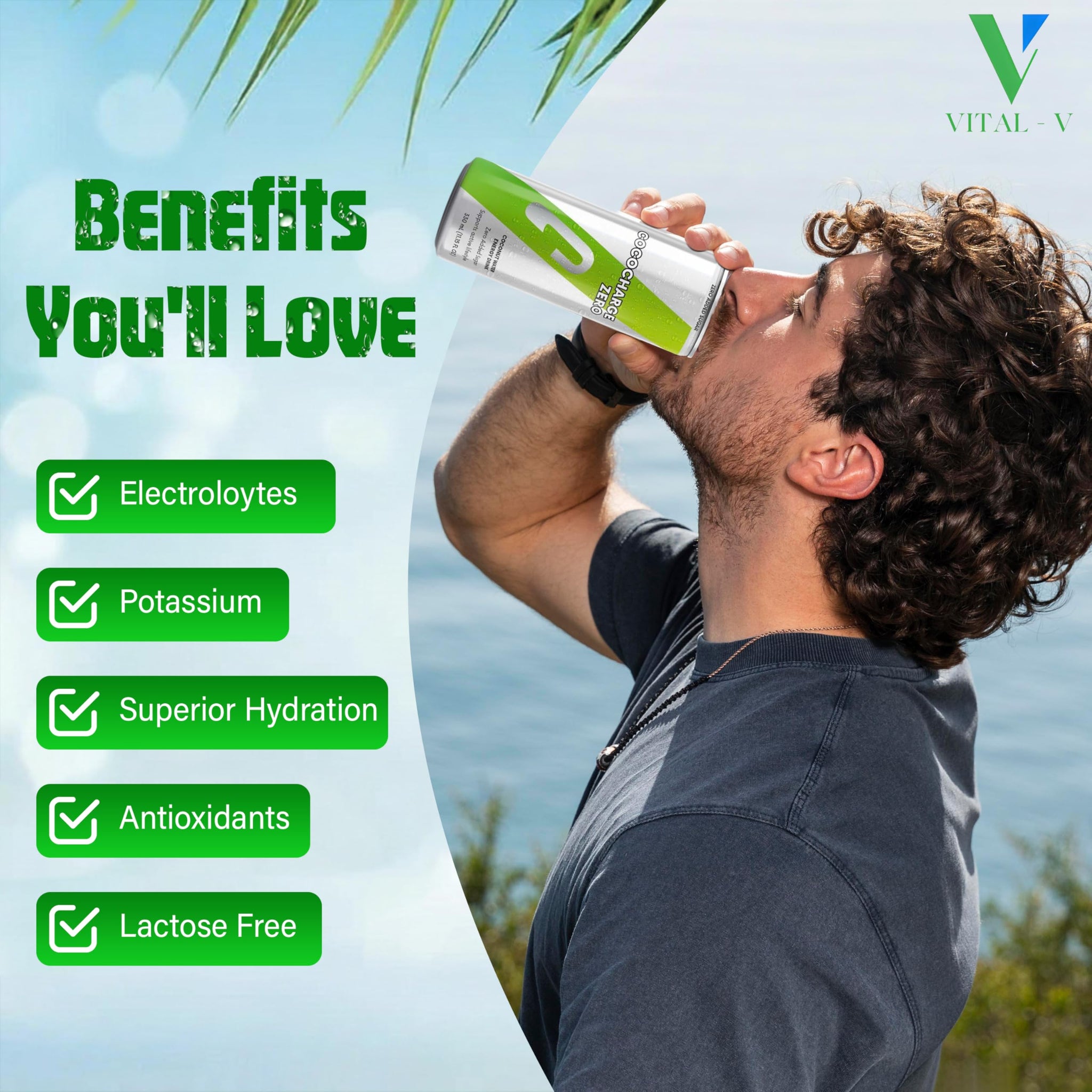 Vital-V CocoCharge Zero Energy Drink, 98% Coconut Water, Sugar Free, Natural Hydration