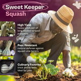 SVI 35 Cushaw Green Striped Pumpkin Seeds (Cucurbita mixta) - Cushaw Squash, Non GMO Winter Squash Seed Packets - Heirloom Vegetable Seeds