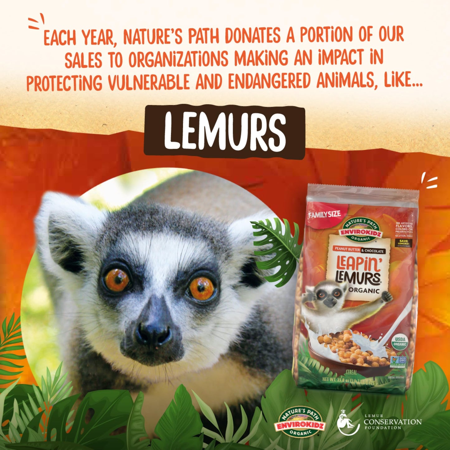 EnviroKidz Organic Leapin' Lemurs Cereal, 10 oz (Pack of 1), Peanut Butter & Chocolate, Gluten Free, Fair Trade, by Nature's Path