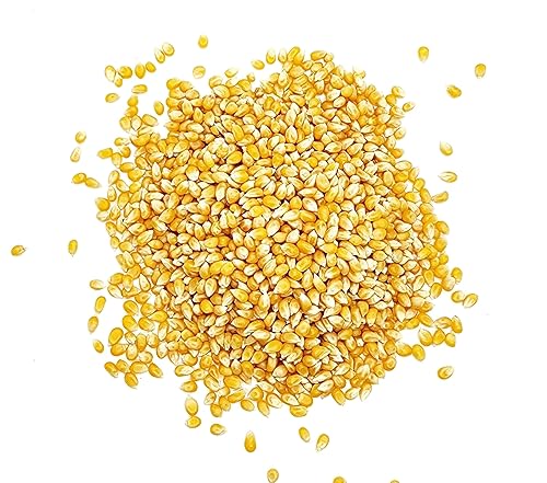 Premium Popcorn Kernels - 5 pounds - Original Yellow Popcorn kernel - by Gamar Foods