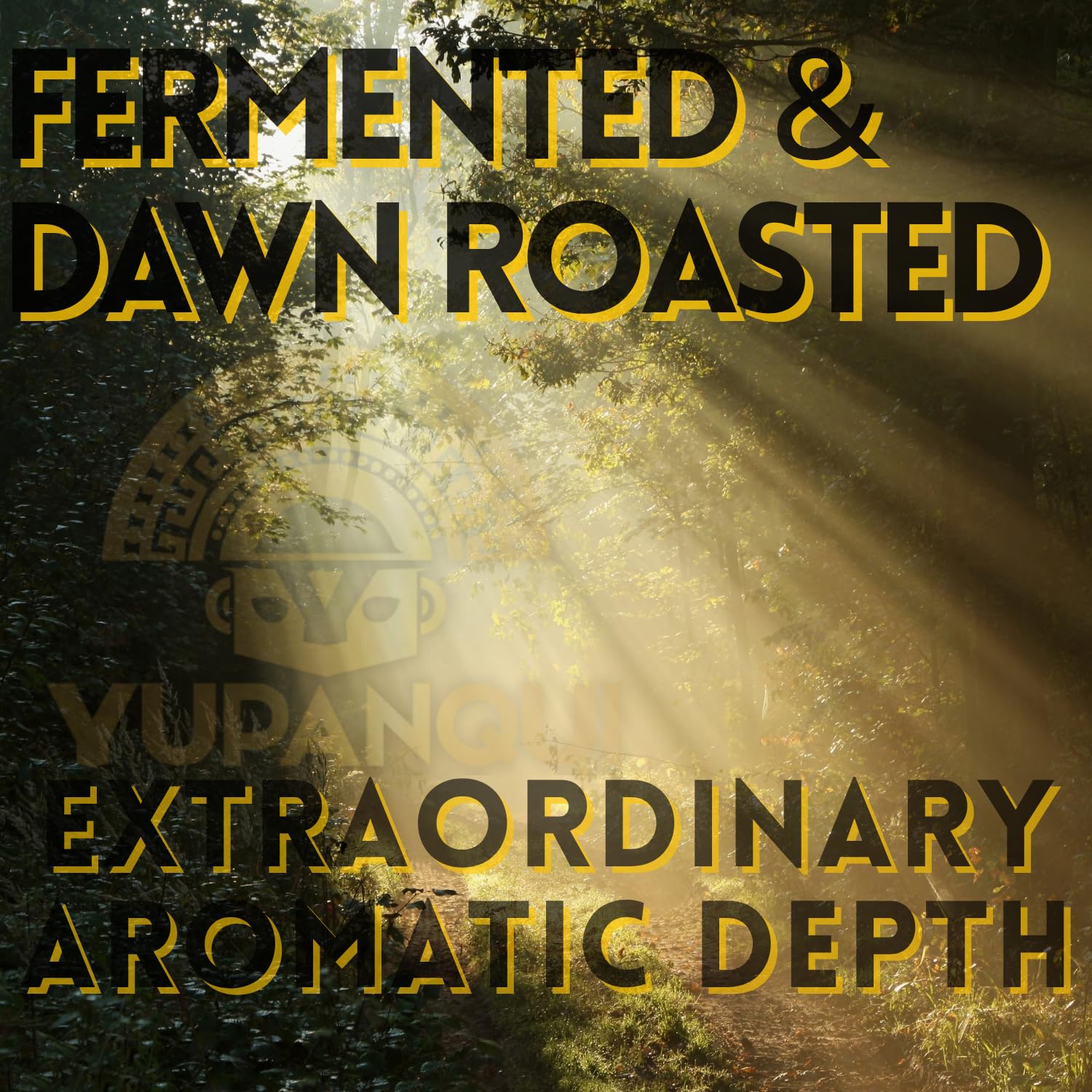 Yupanqui CULTURED BLACK Pepper Family Reserve Fermented Black Peppercorns Whole Gourmet Peppercorns for Grinder Refill Dawn Roasted Peppercorns