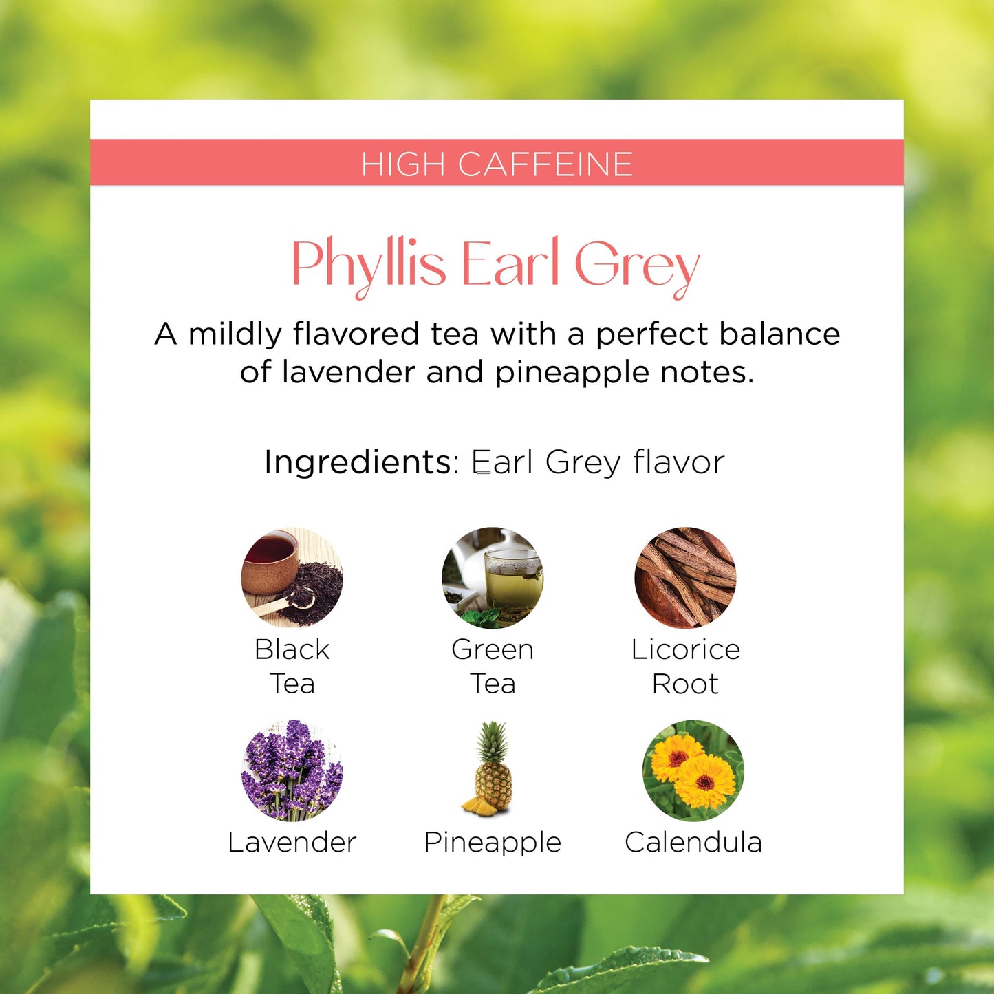 Brook37 Phyllis Earl Grey Eco Black Tea - Premium Flavored Tea with Lavender, Pineapple & Calendula | Caffeinated Gourmet Tea Blend | 20 Biodegradable