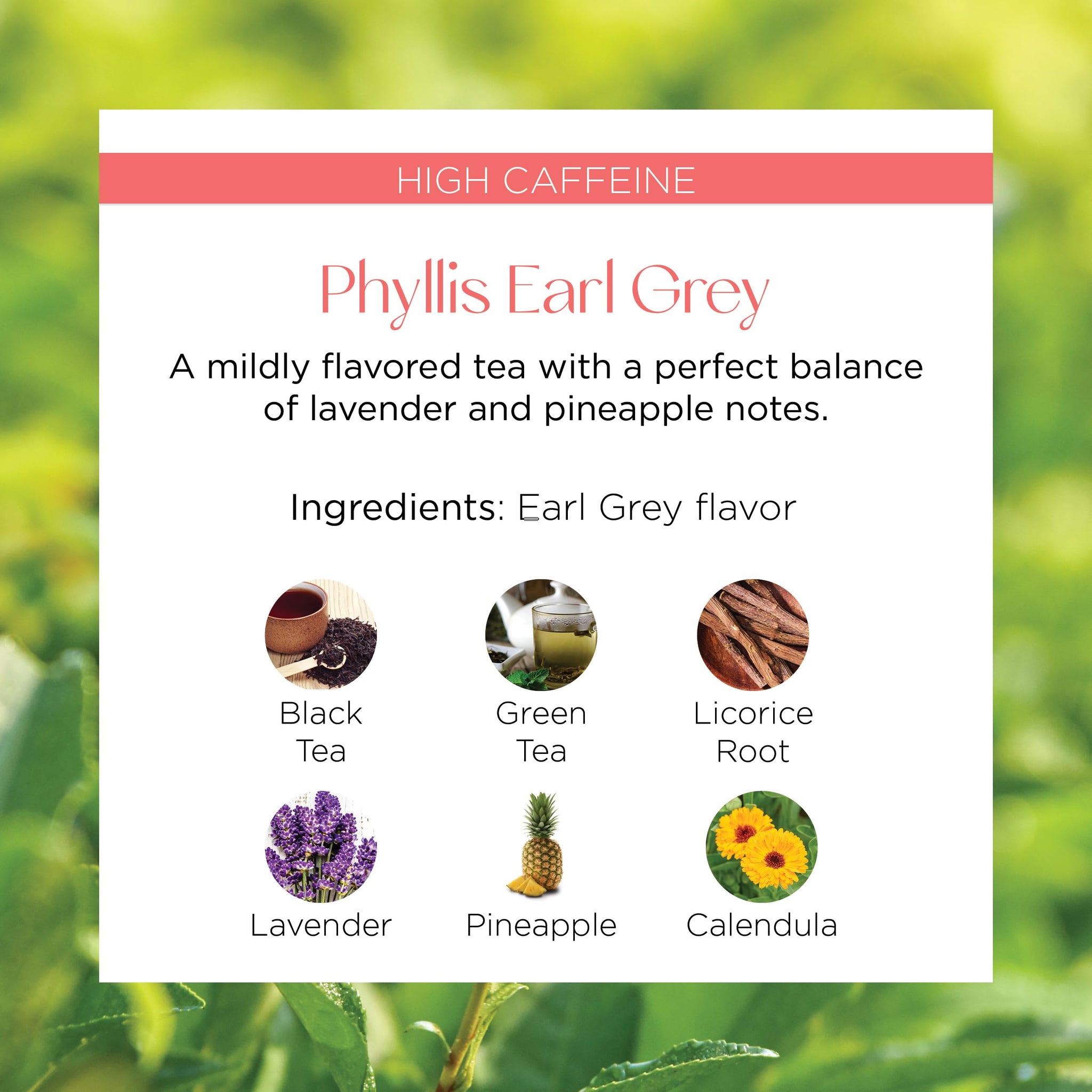 Brook37 Phyllis Earl Grey Eco Black Tea - Premium Flavored Tea with Lavender, Pineapple & Calendula | Caffeinated Gourmet Tea Blend | 20 Biodegradable