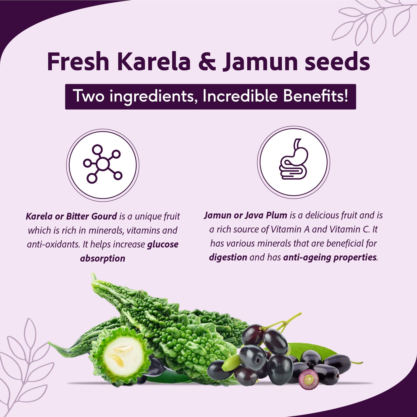 Sri Sri Tattva Karela Jamun Juice -1000 ml Liquid