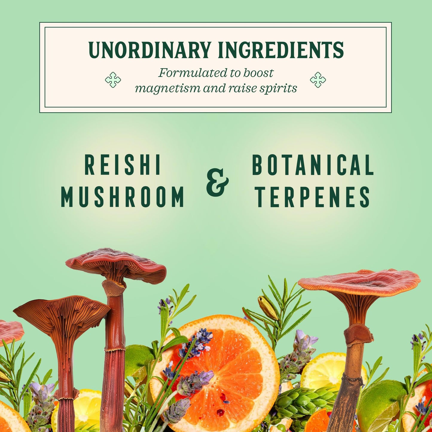 Little Saints Non-Alcoholic Paloma Mocktail | Bright, Sparkling & Citrus Forward | Crafted with Reishi Mushroom & Adaptogens for Calm & Ease | 5