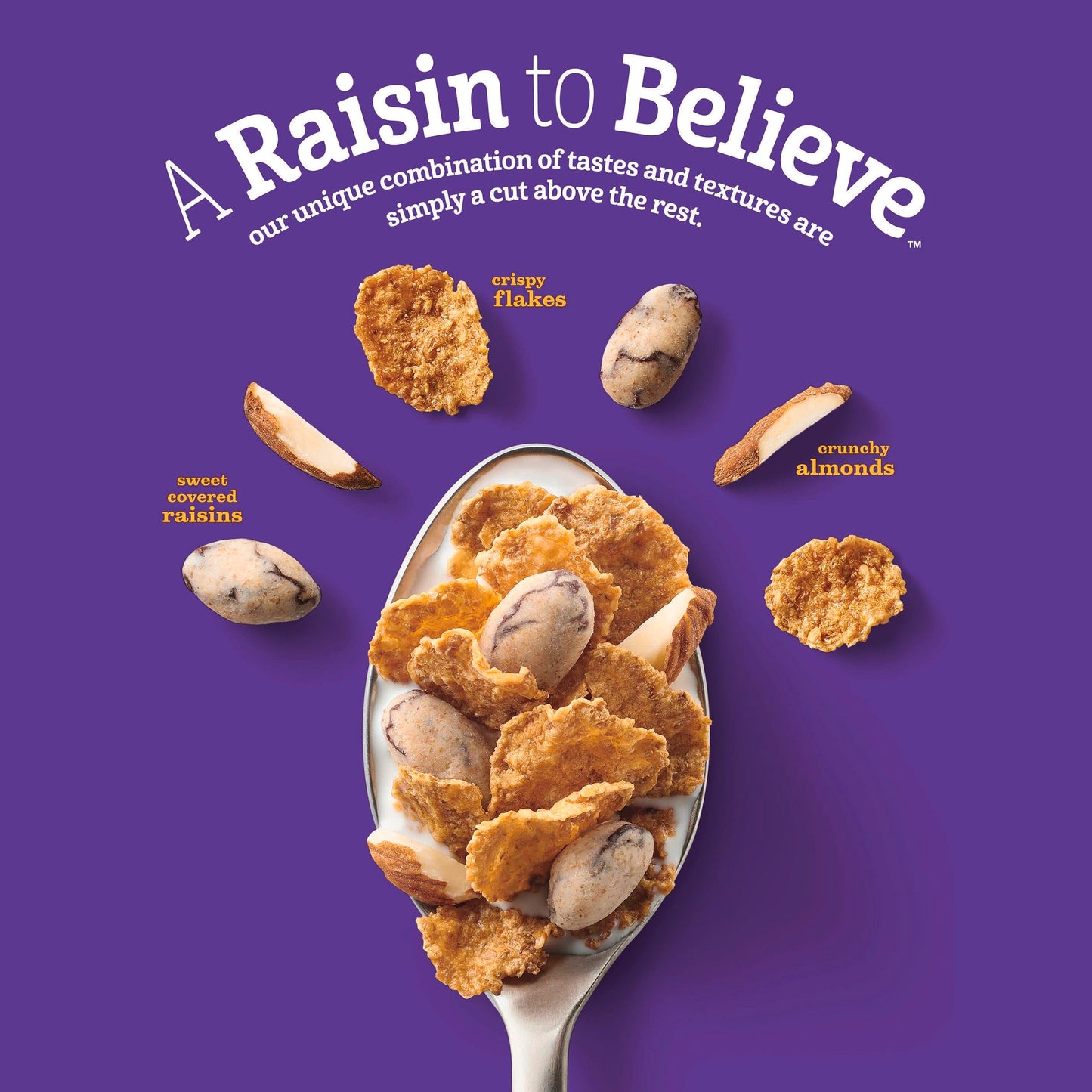 Raisin Nut Bran Cereal, High Fiber Cereal, Made with Whole Grain, 20.8 oz