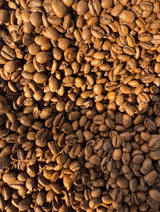 Excelsa Coffee Rare Species Low Acid Smooth Daily Coffee Whole Bean Medium Roast 12 oz