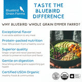 Bluebird Grain Farms Organic Whole Grain Emmer Farro, 5 Lb.