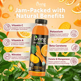 O2 Living Juice Cold Pressed Drink - Carrot Kick Organic Juice Pack - No Added Sugars or Water, Naturally Sweetened from Fruits, Rich in Nutrients