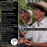 YUPANQUI White Peppercorns Whole Peppercorns for Grinder Refill - Naturally Fermented Organic White Pepper corn with Oceanic Mineral Notes & Complex
