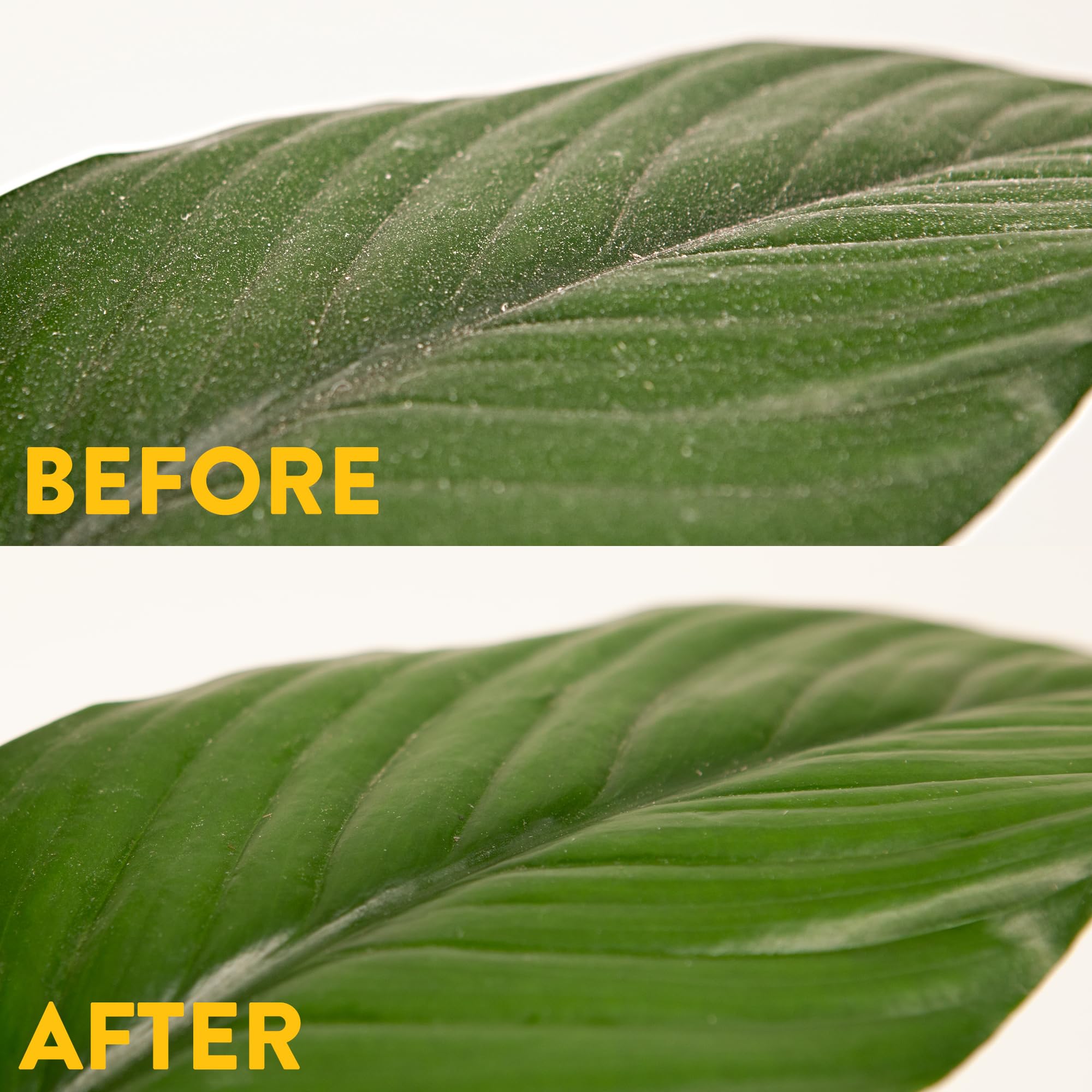 Naturalings Plant Wipes for Indoor Plants - 100 Count Plant Leaf Cleaner Wipes with Natural Peppermint, Remove Dust & Restore Natural Leaf Shine