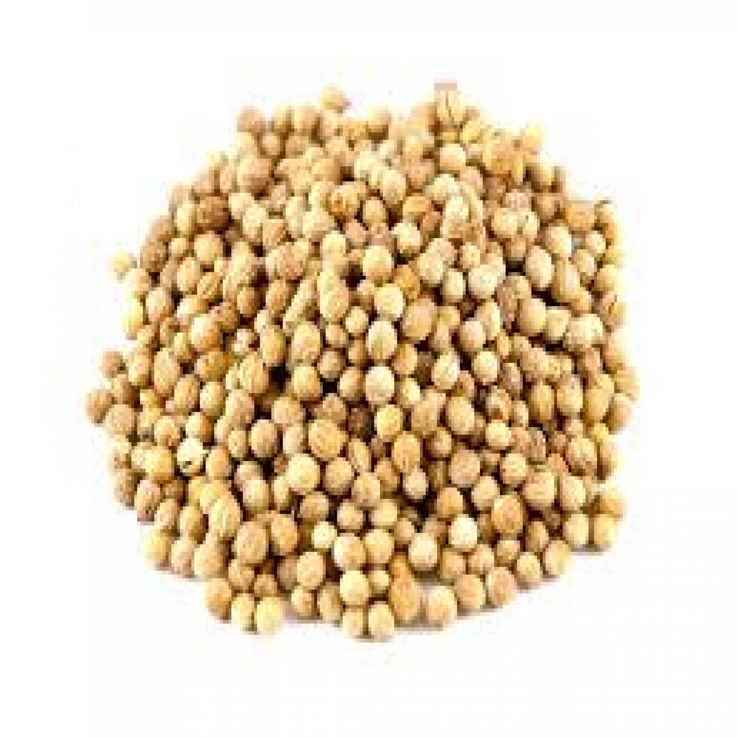 Coriander Seed Whole - 5Lbs