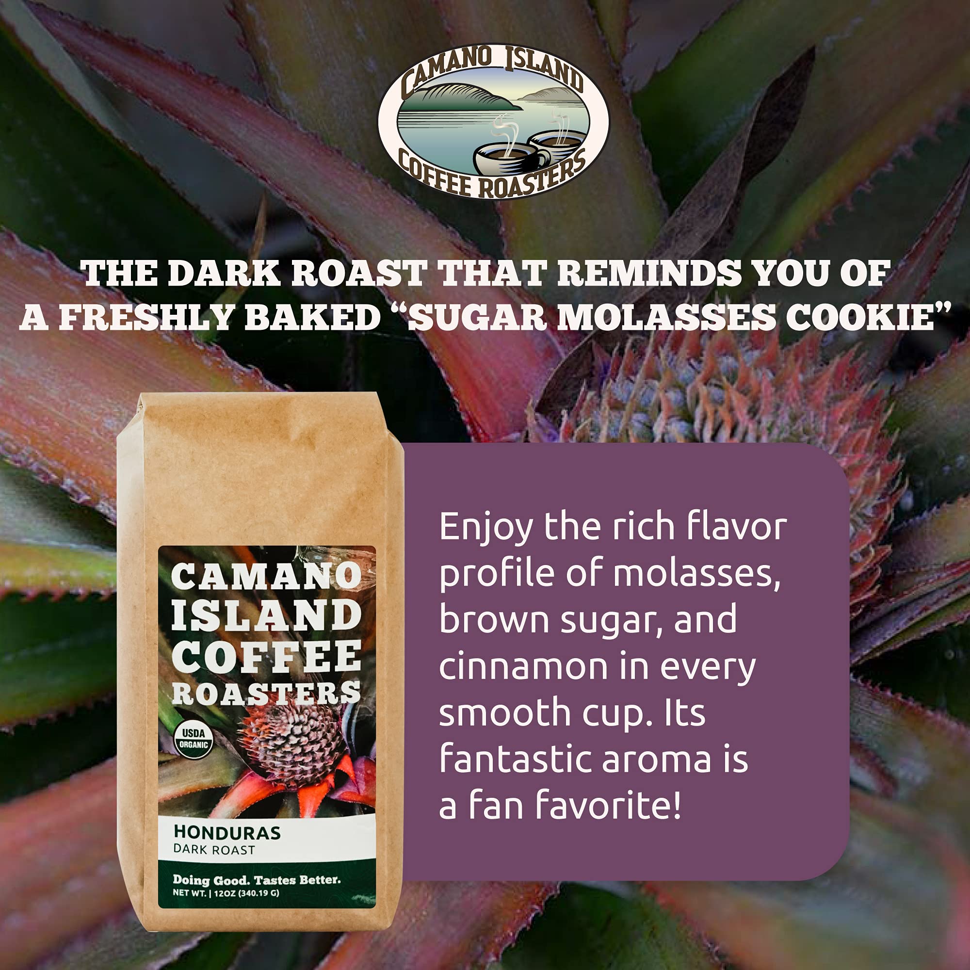 Camano Island Coffee Roasters Honduras Dark Roast, Whole Bean 12oz, Fresh Small Batch Roasted, USDA Organic, Fairly Traded, Shade Grown Top 1% Arabica